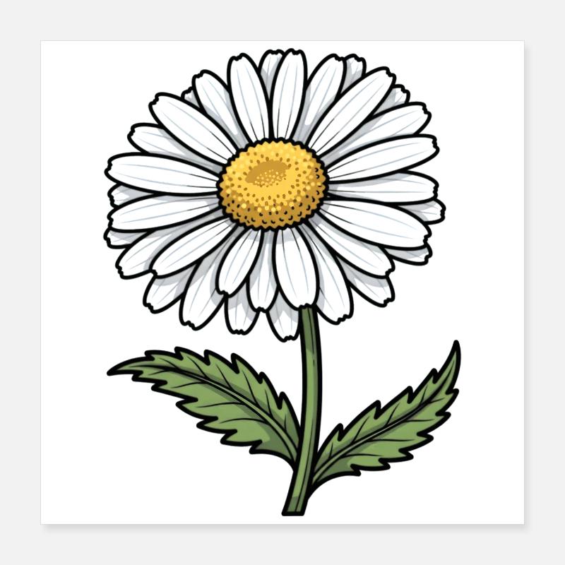 Gänseblümchen Poster 40x40 cm