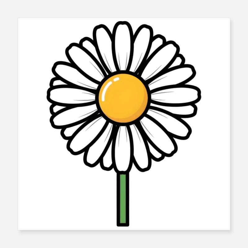 Gänseblümchen Poster 40x40 cm