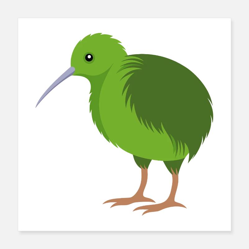 Oiseau kiwi Poster 40 x 40 cm