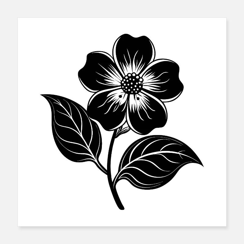 Fleur de cornouiller Poster 40 x 40 cm