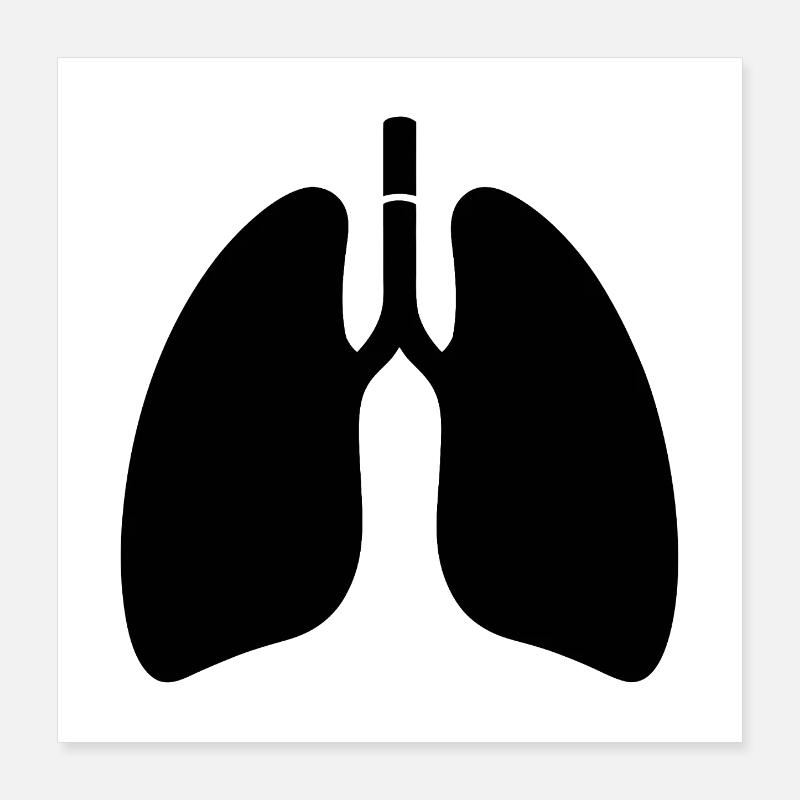 Lungs Poster 16" x 16" (40x40 cm)