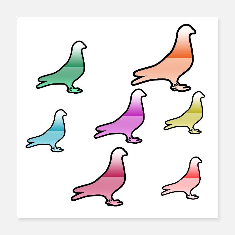 Colombes Poster 40 x 40 cm