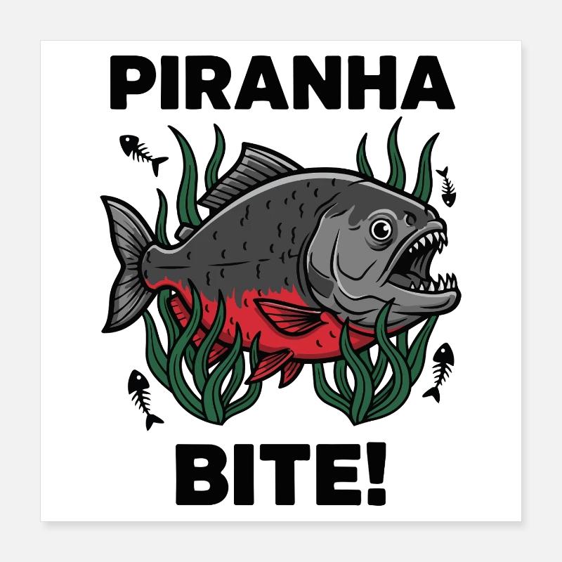 Roter Piranha Beiß Beißfisch Poster 40x40 cm