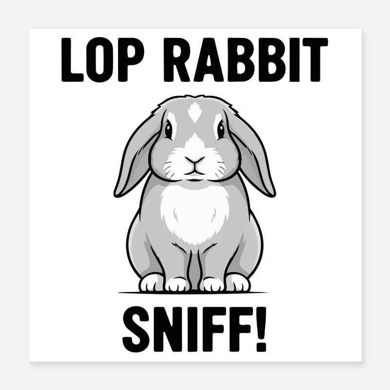 Lapin Bélier Sniff Lop Rabbit Gris Poster 40 x 40 cm