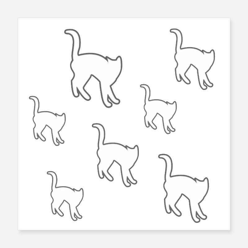 Katzen Poster 40x40 cm
