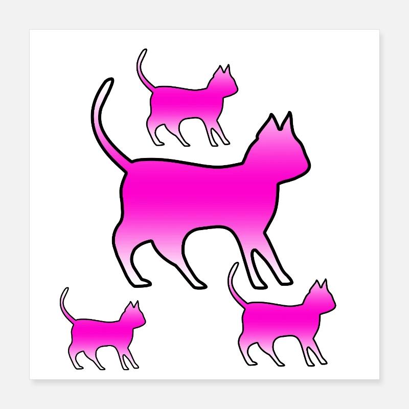 Katzen Poster 40x40 cm
