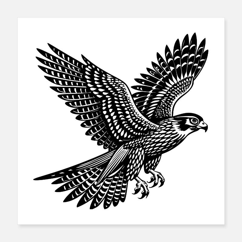 Faucon Poster 40 x 40 cm