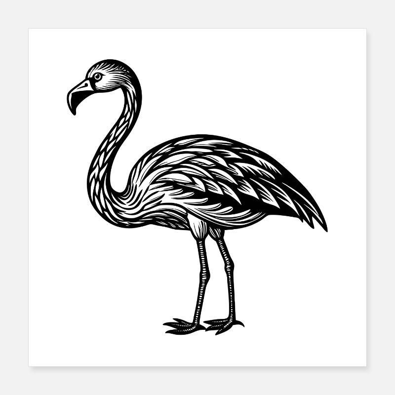 Flamant rose Poster 40 x 40 cm