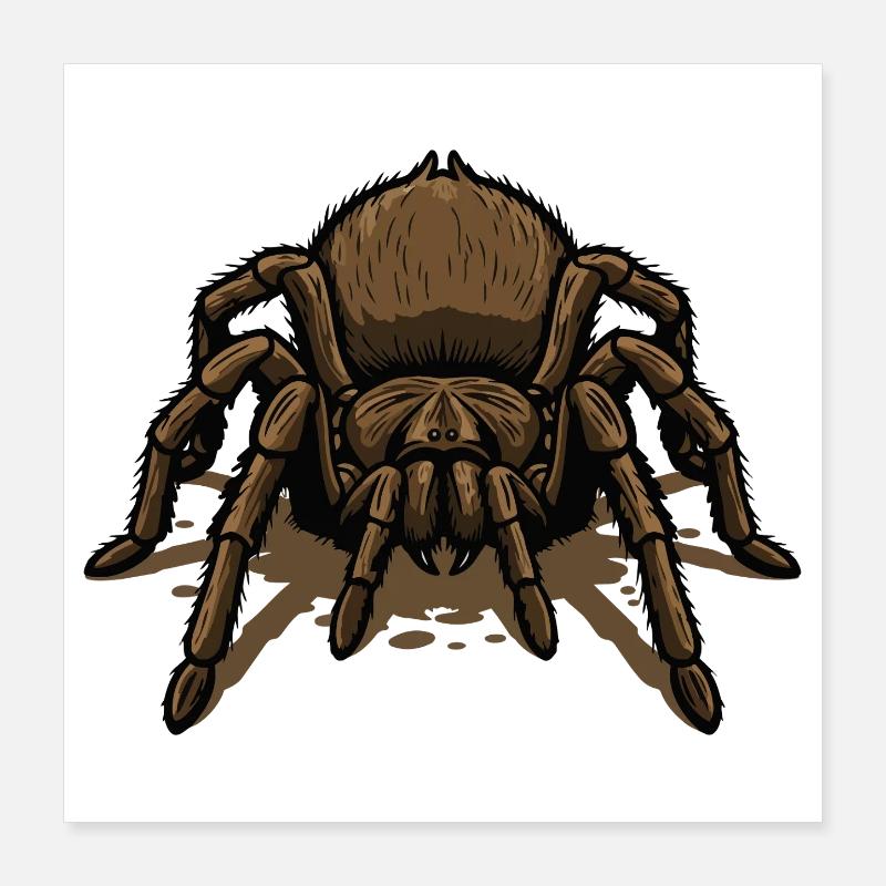Araignee Mygale Tarantula Crawl Tattoo Poster 40 x 40 cm