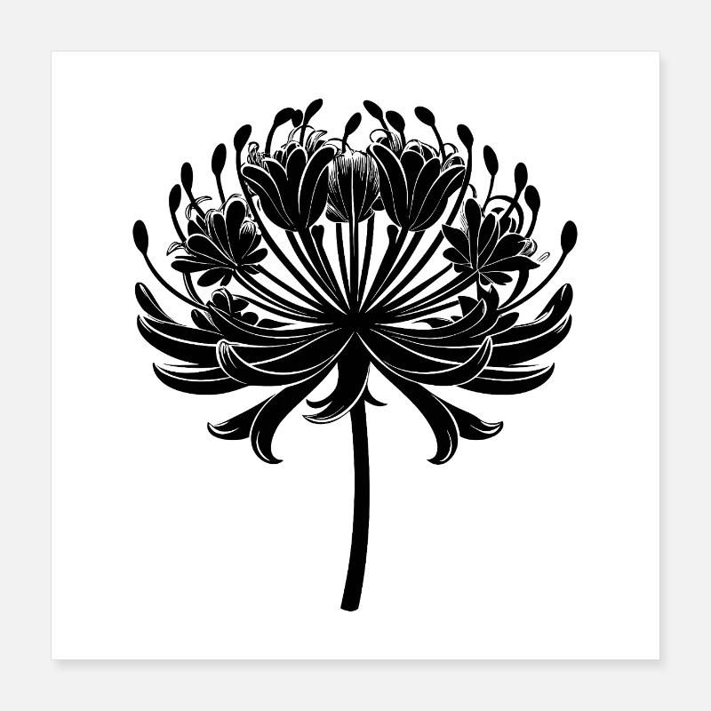 Agapanthus-Blüte Poster 40x40 cm