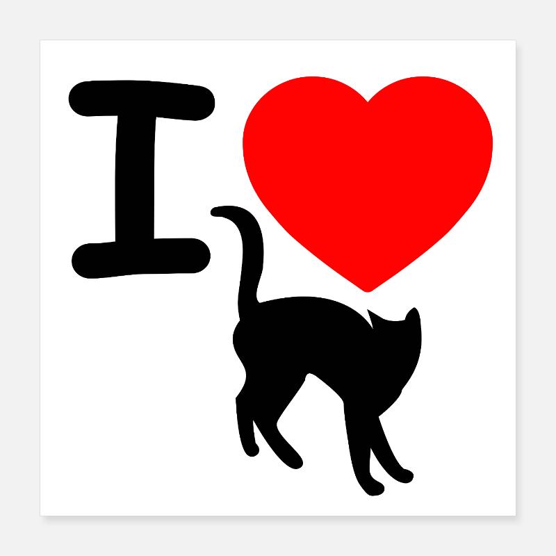 Katzen Poster 40x40 cm
