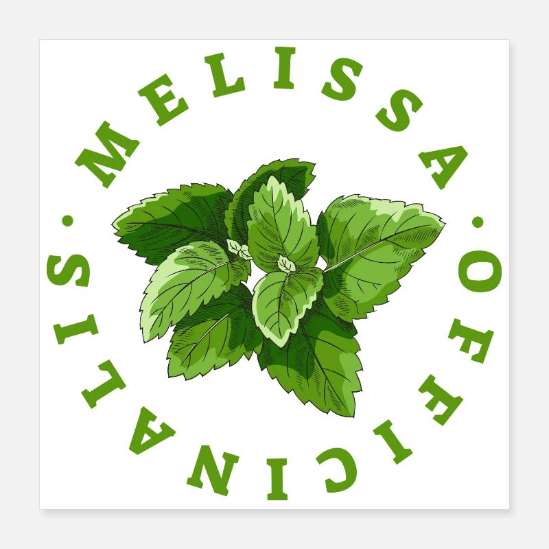 Emblème circulaire de feuille de mélisse Poster 40 x 40 cm