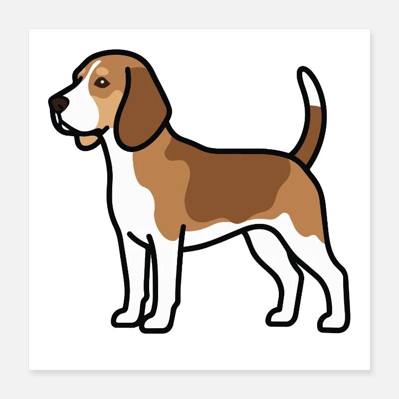 Le chien beagle Poster 40 x 40 cm