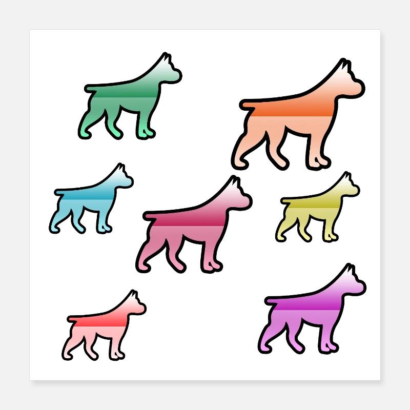Hunde Poster 40x40 cm