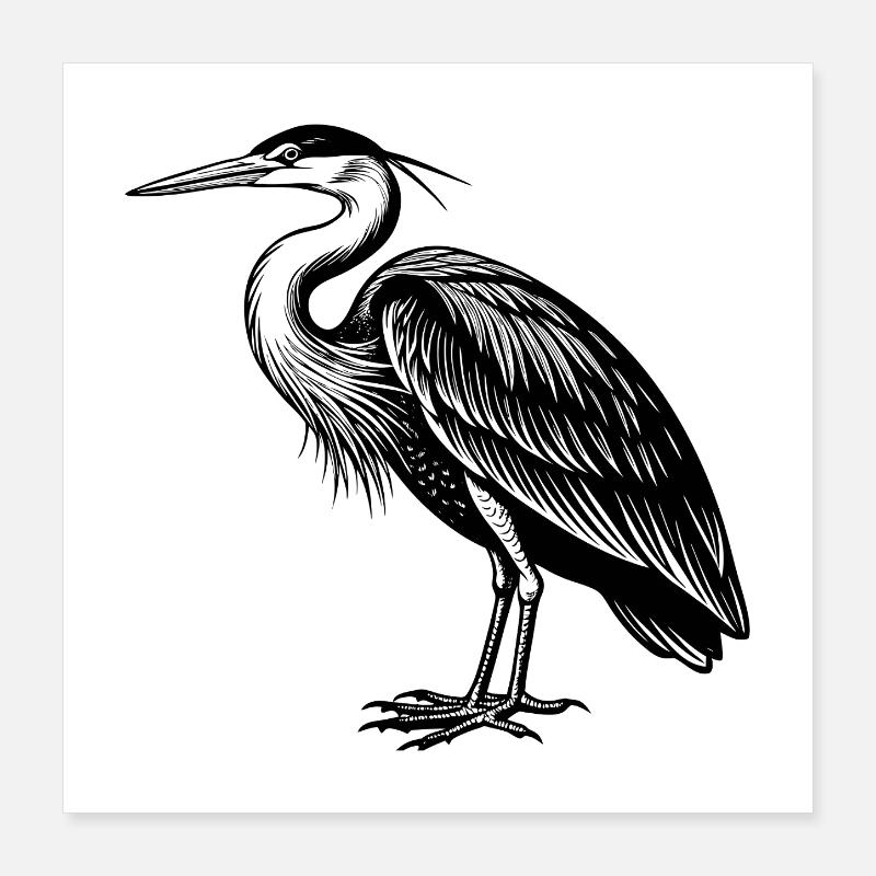 Großer Blaureiher Poster 40x40 cm
