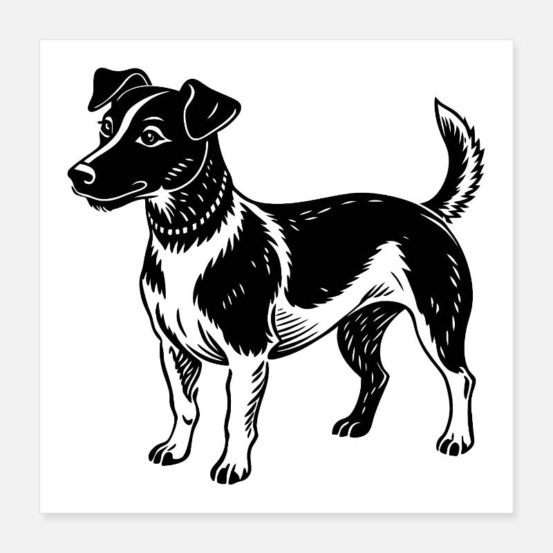 Jack Russel Poster 16" x 16" (40x40 cm)