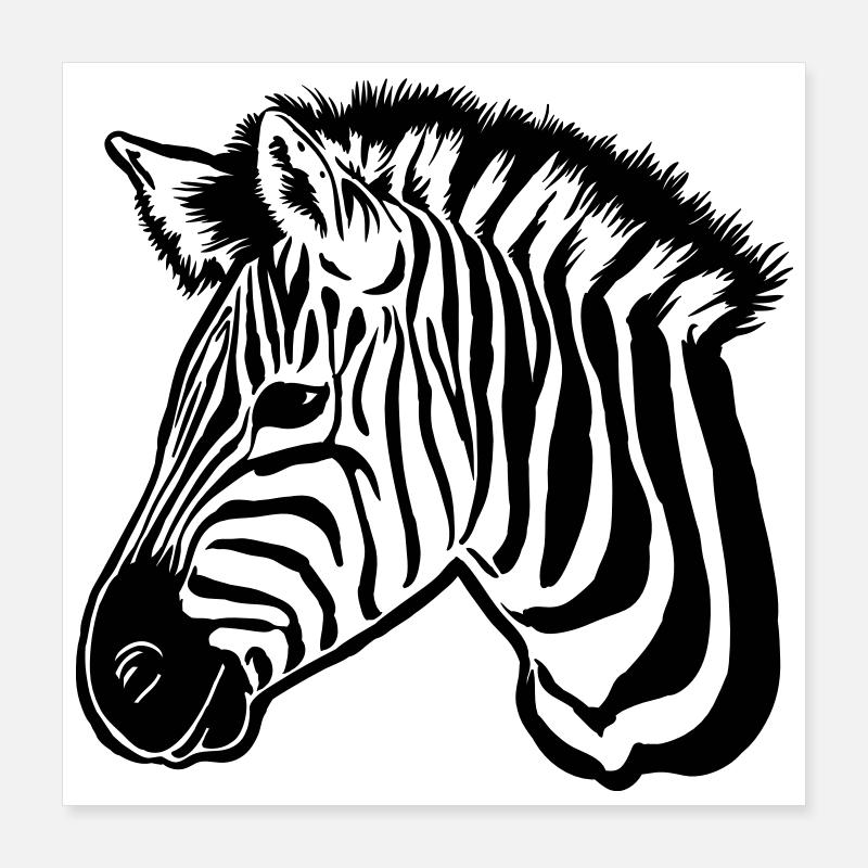 zèbre noir Poster 40 x 40 cm