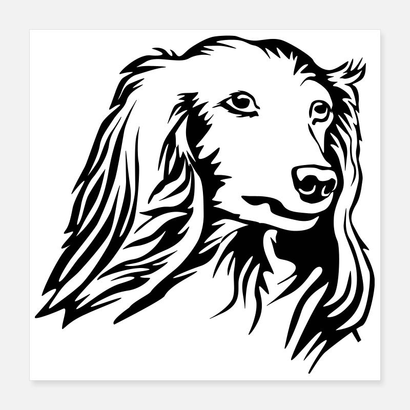 Dackel Kopf Poster 40x40 cm