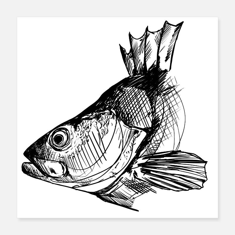 Perche - Pêche à la perche - Poisson préféré Poster 40 x 40 cm