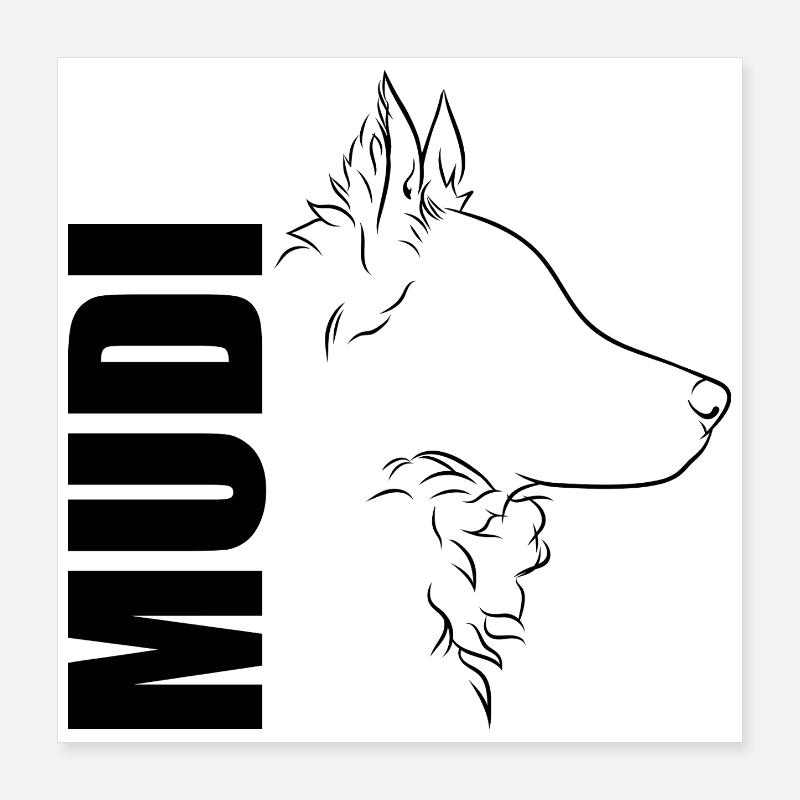 Mudi Profile Dog Dog Wilsigns Poster 16" x 16" (40x40 cm)