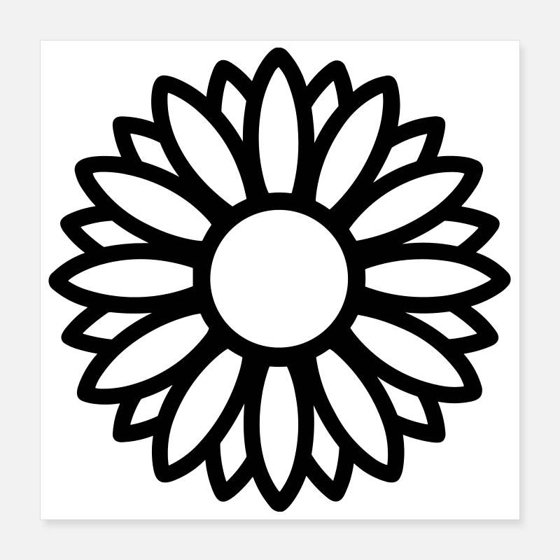 Sonnenblume Poster 40x40 cm