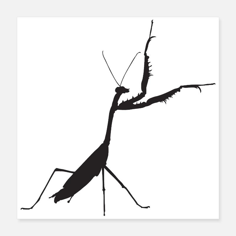 Gottesanbeterin schwarz Poster 40x40 cm