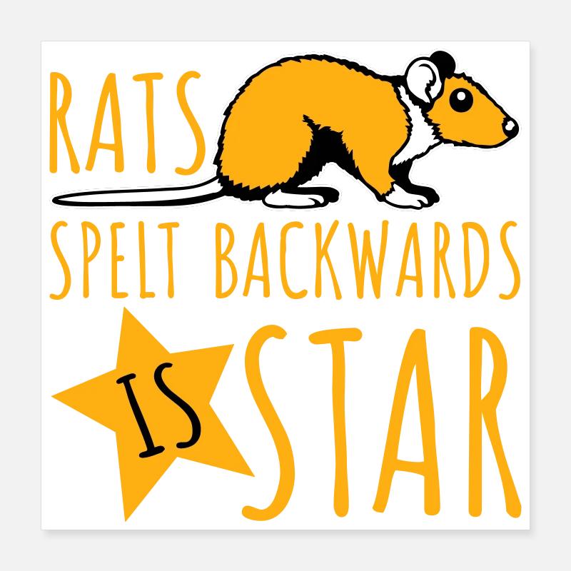 Rats Spelt Backwards Is Star Lustiger Ratte Spruch Poster 40x40 cm