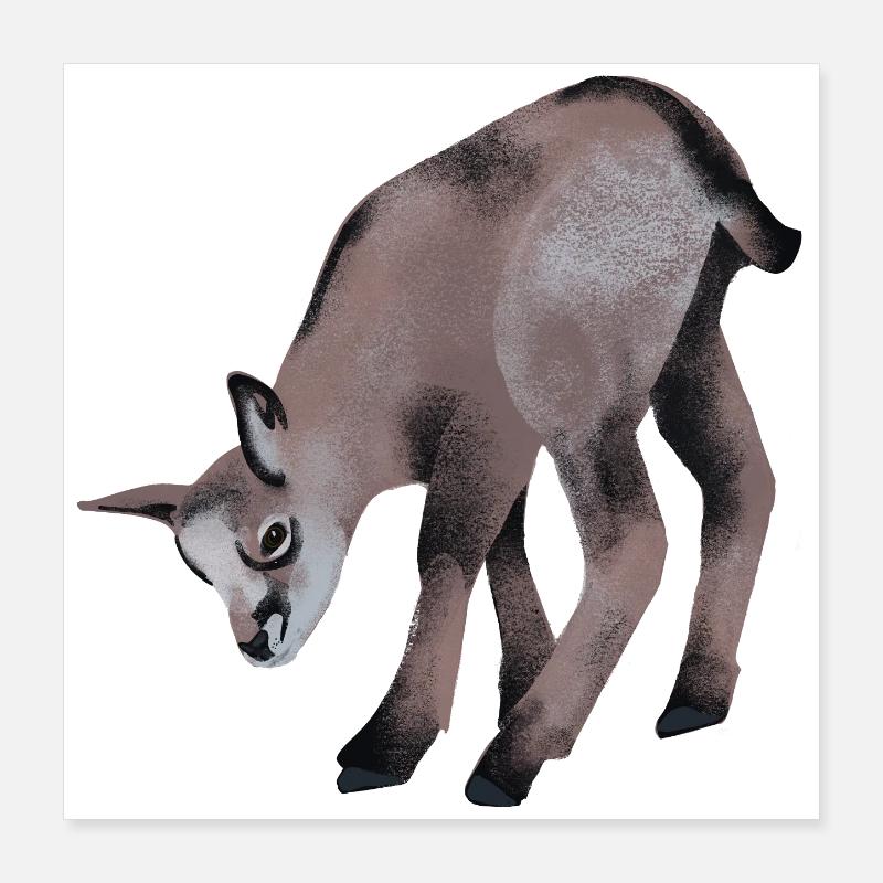 Jeune chamois Poster 40 x 40 cm
