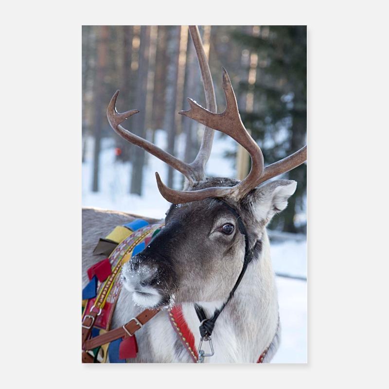 Reindeer Poster 24" x 35" (60x90 cm)