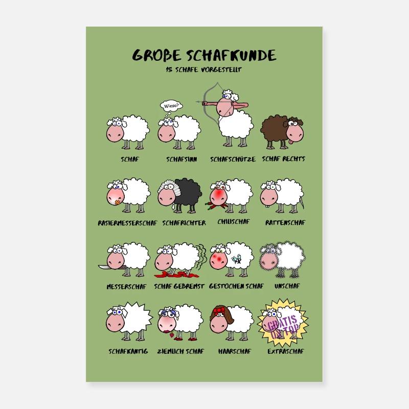 Große Schafkunde Poster Edition Poster 60x90 cm