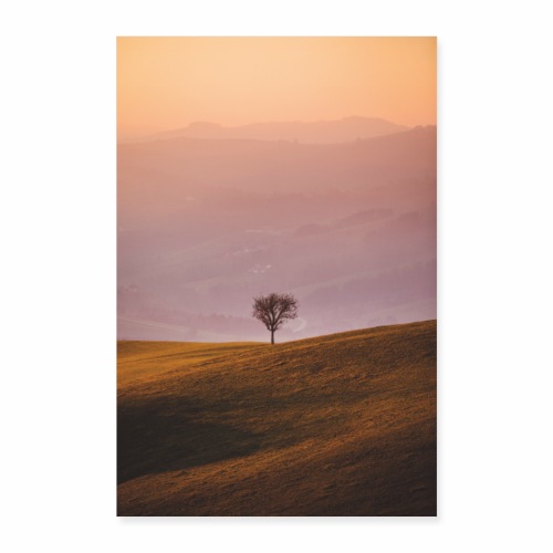 Einsamer Baum - Poster 60x90 cm