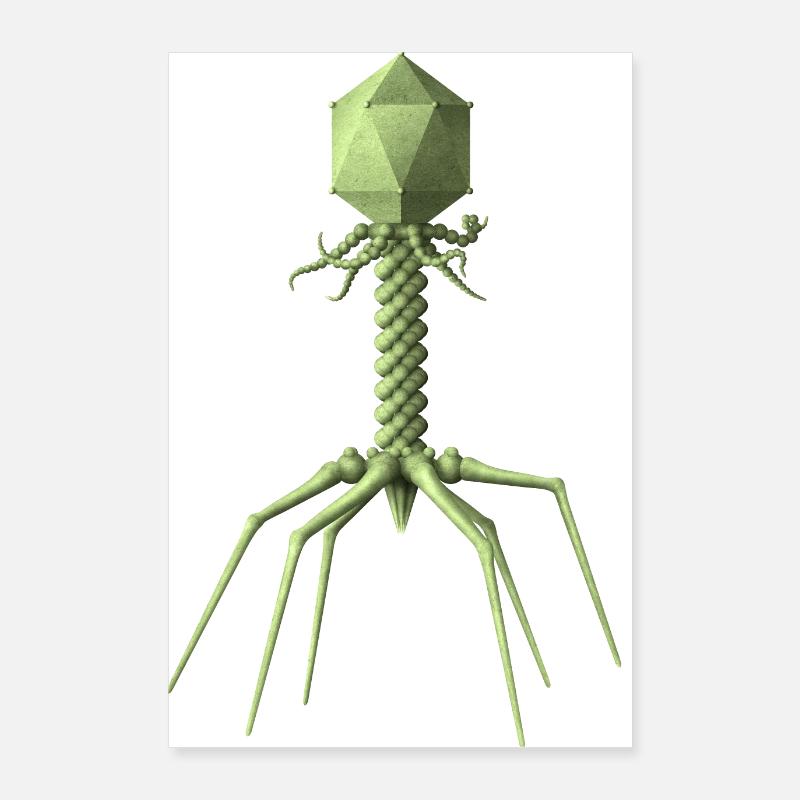 Phage Poster 24" x 35" (60x90 cm)