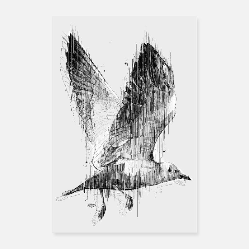 Möwe im Aufbruch - Poster 60x90 cm - Weiß
