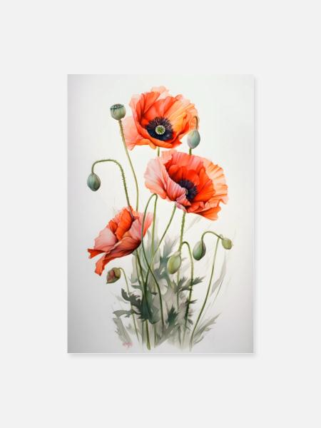 Mohnblume - Poster 60x90 cm - Weiß