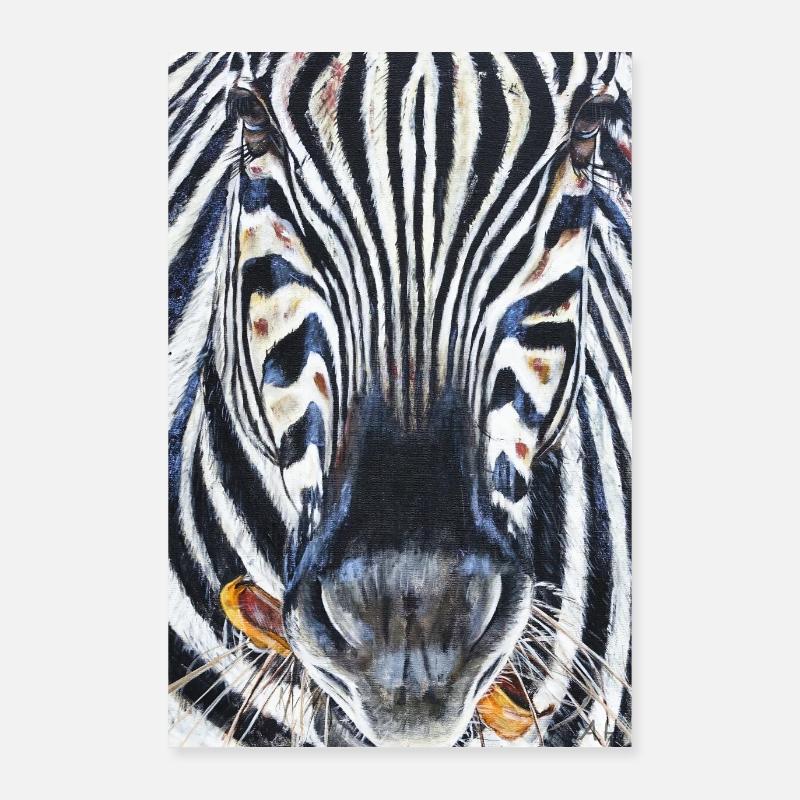 Zebra Poster 60x90 cm