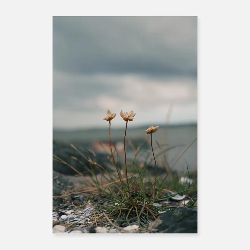 ocean Poster 24" x 35" (60x90 cm)