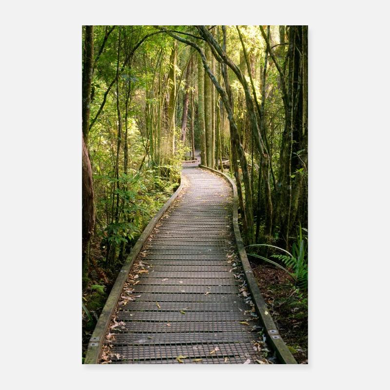 Der Endlose Boardwalk – Ein Pfad durch Neuseelands Poster 60x90 cm