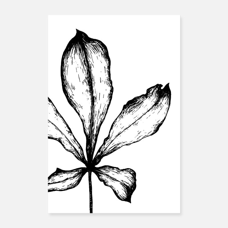 affiche feuille Poster 60 x 90 cm