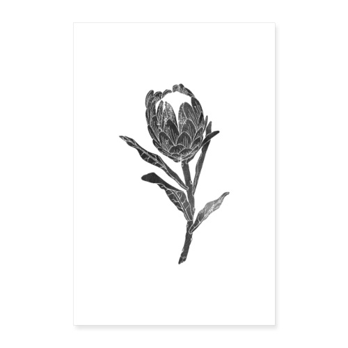 Linocut Protea Protea - Poster 60x90 cm