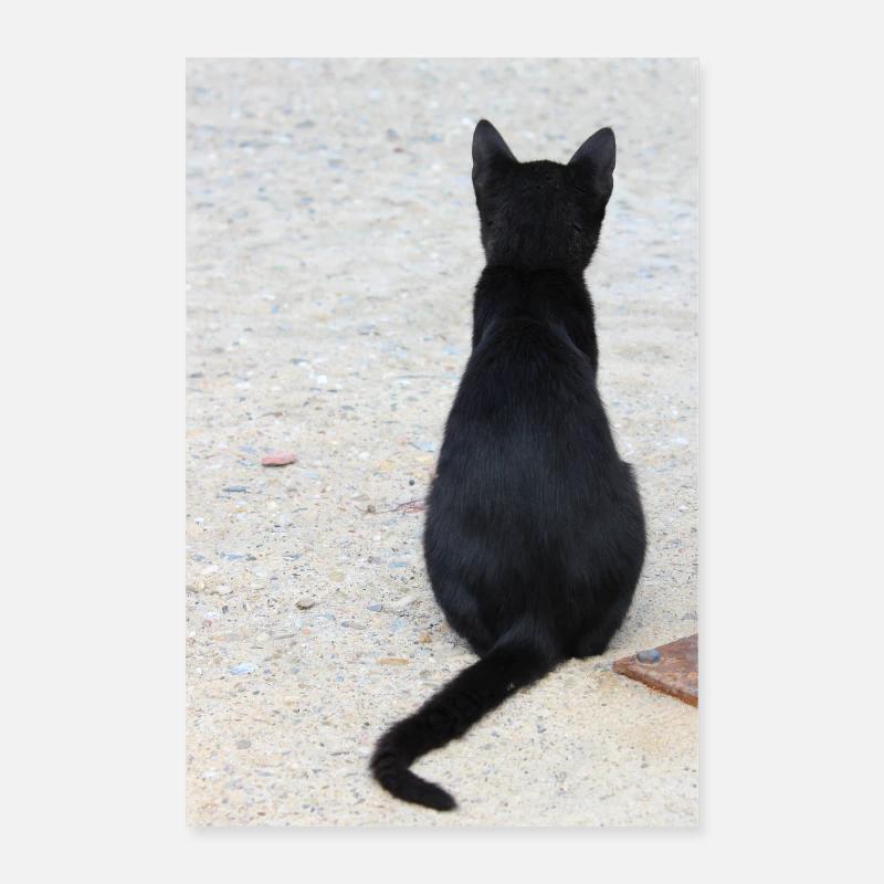 Chat Chat Chat Chat Chemise Cadeau Poster 60 x 90 cm