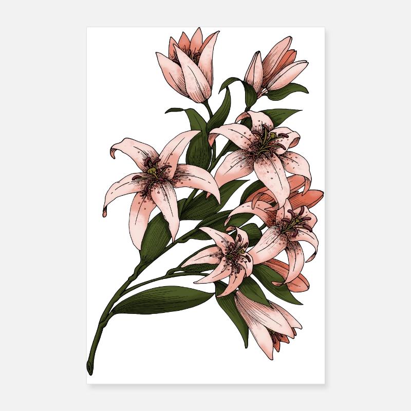Lilies - Lily Poster 24" x 35" (60x90 cm)