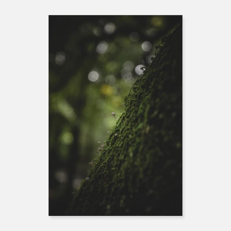 Small mushroom on tree Poster 60x90 cm