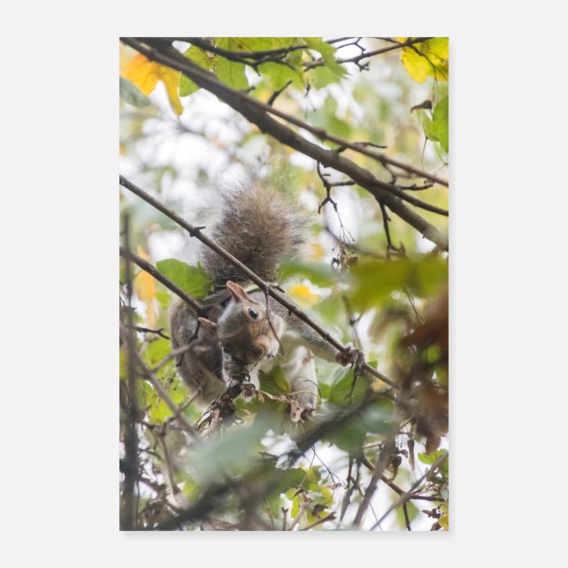 The Squirrel's Invitation Poster 24" x 35" (60x90 cm)