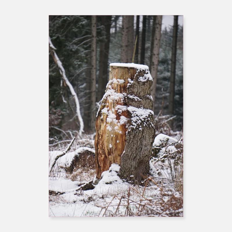 Snow-covered tree trunk Poster 24" x 35" (60x90 cm)