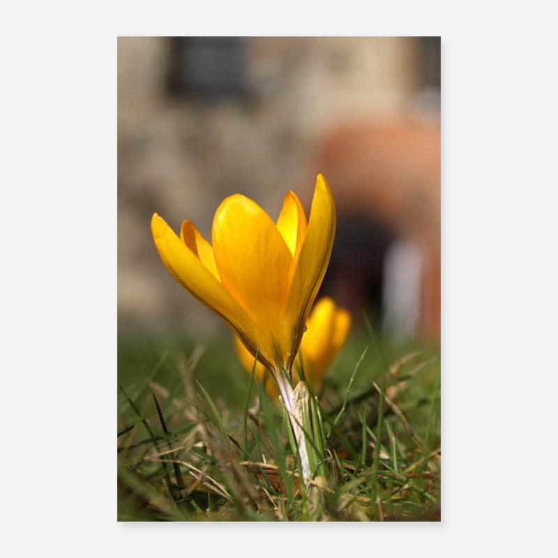 Frühling Poster 60x90 cm