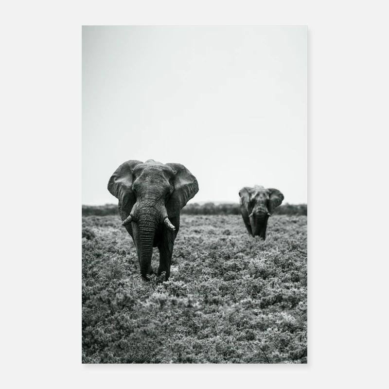 Namibia Elefanten Etosha Poster 60x90 cm