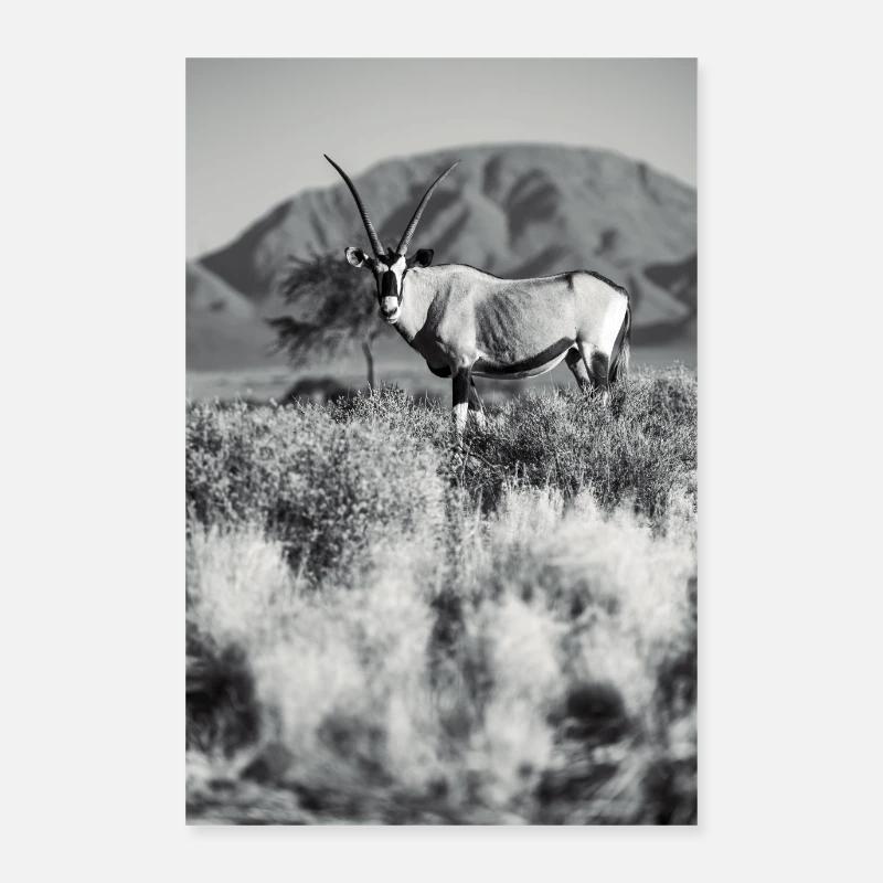 Namibia Orxy Antelope Poster 24" x 35" (60x90 cm)