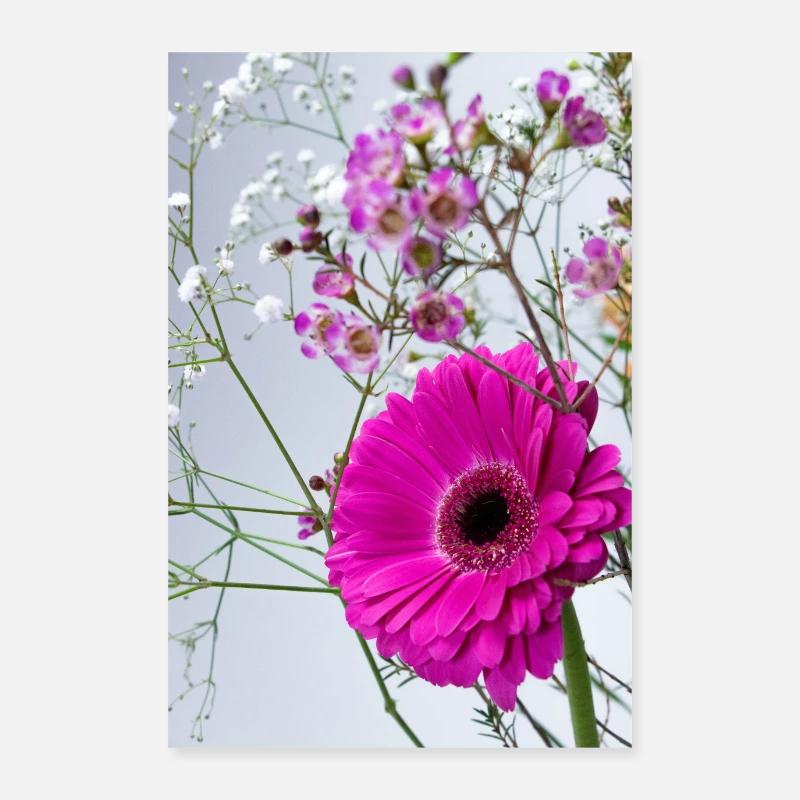 Makro Pink Gerbera Blütenpracht Poster 60x90 cm