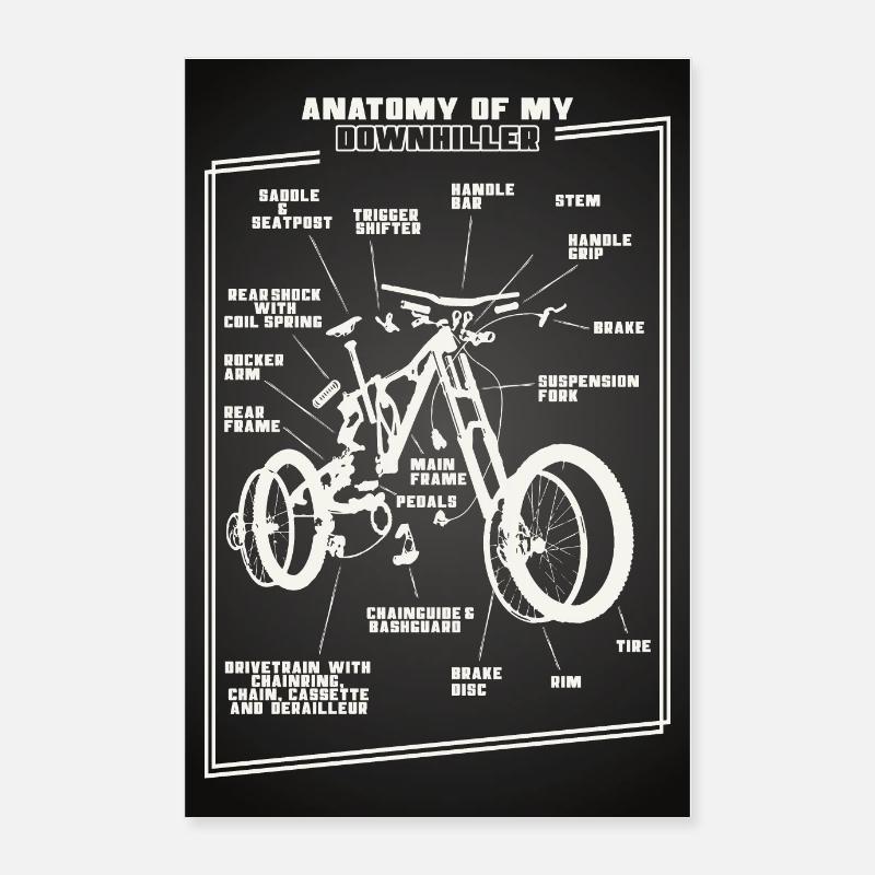 Anatomie Downhill VTT vélo Poster 60 x 90 cm