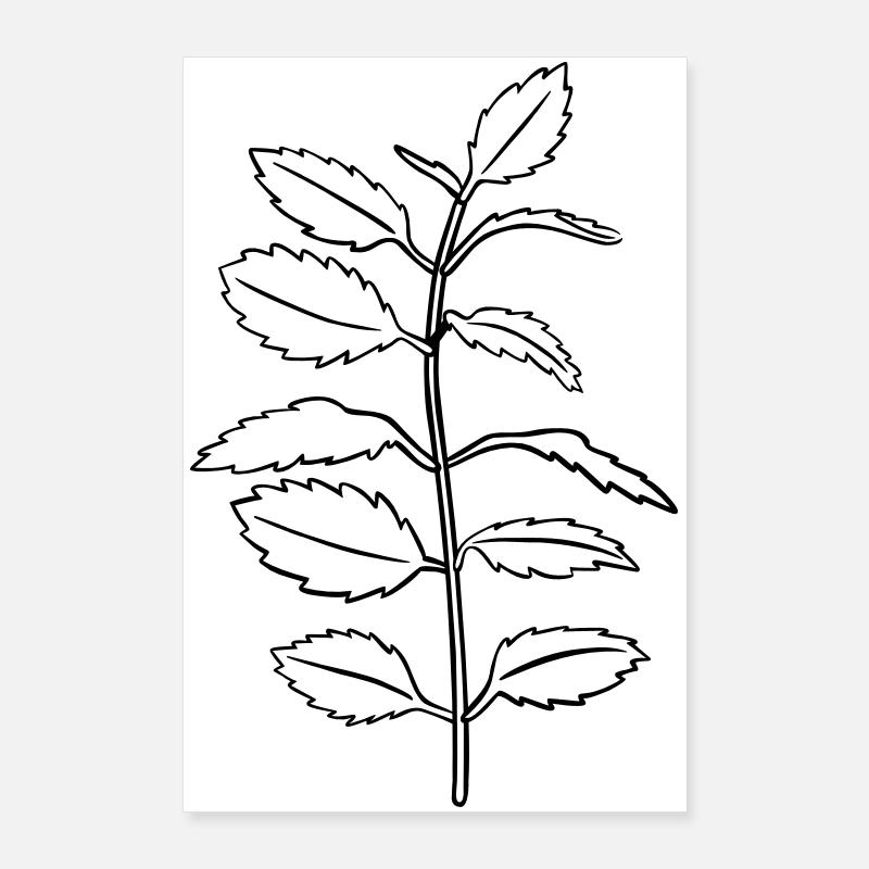 Kräuter-Kontur, schwarz-weiß, einfärbbar Poster 60x90 cm